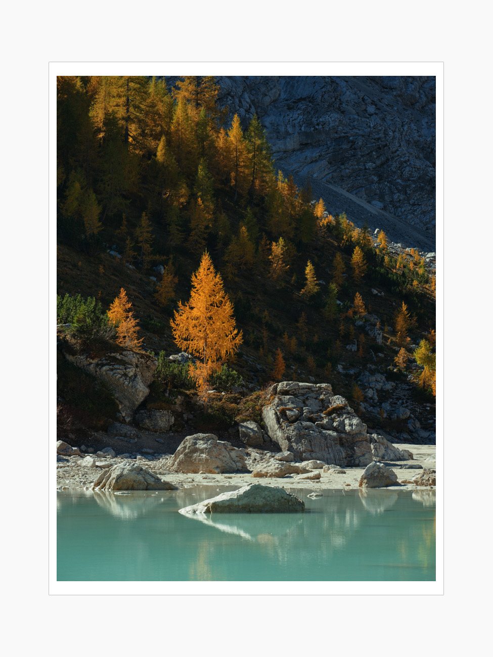 Max Schiefele Selects  DSF1443