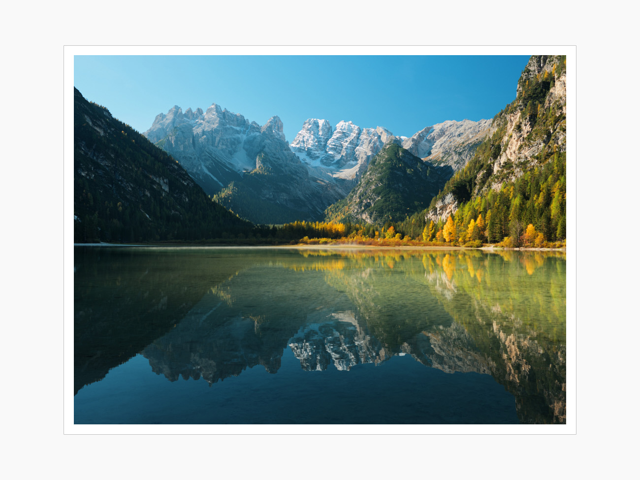 Max Schiefele Selects  DSF1631