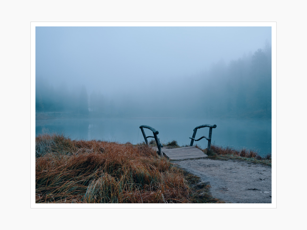 Max Schiefele Selects  DSF2310