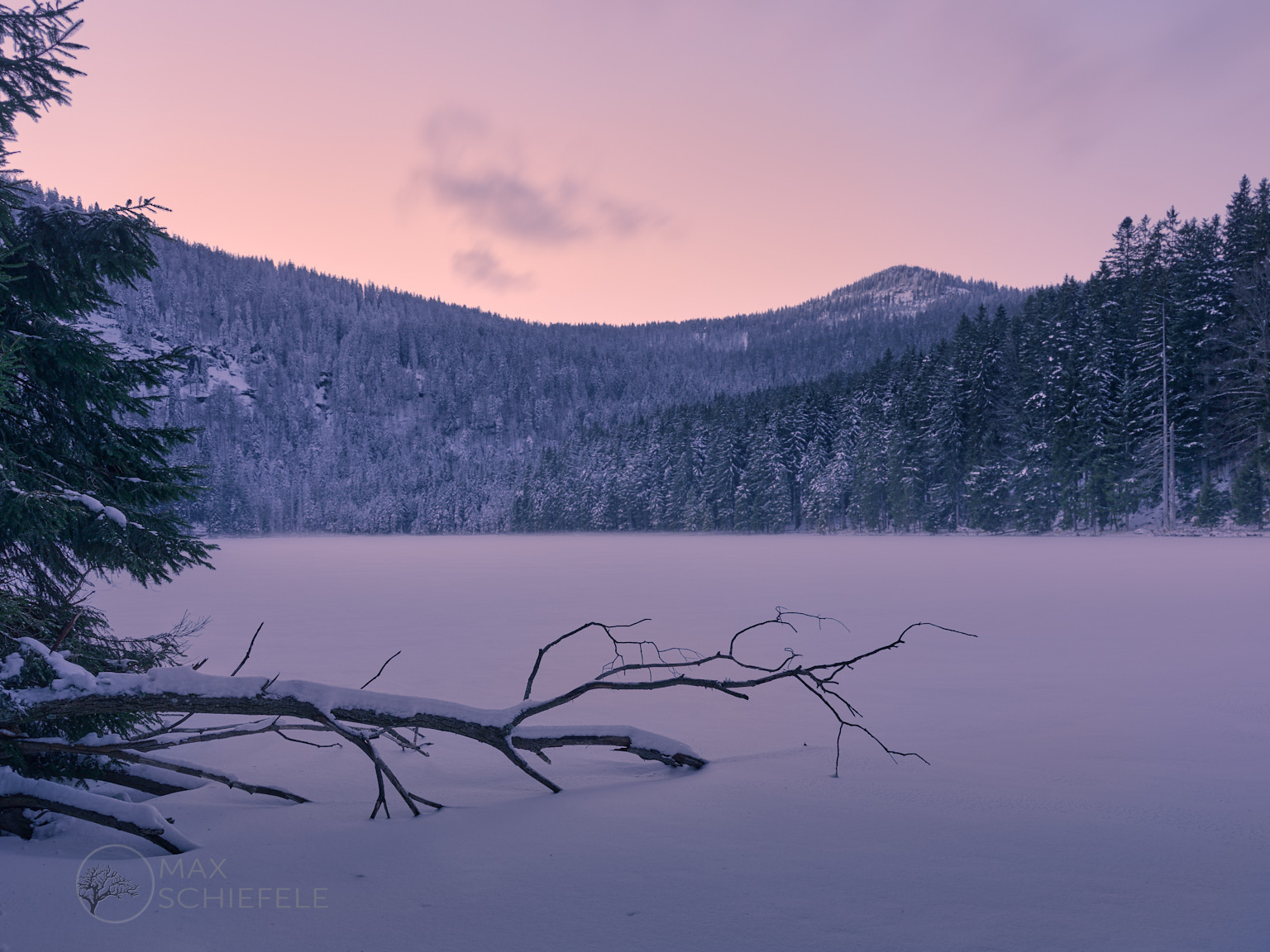 Bayerwald - auf der Suche nach  Schnee