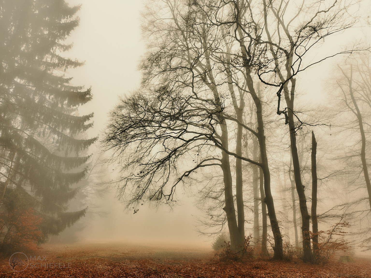 Beinahe-Winter in der Ostalb